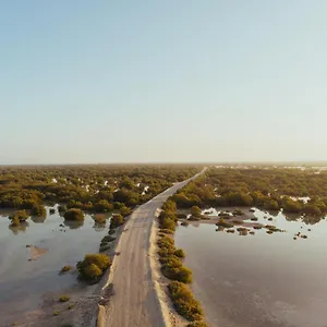 Pura Eco Retreat, Jubail Island Tente de luxe Abou Dabi